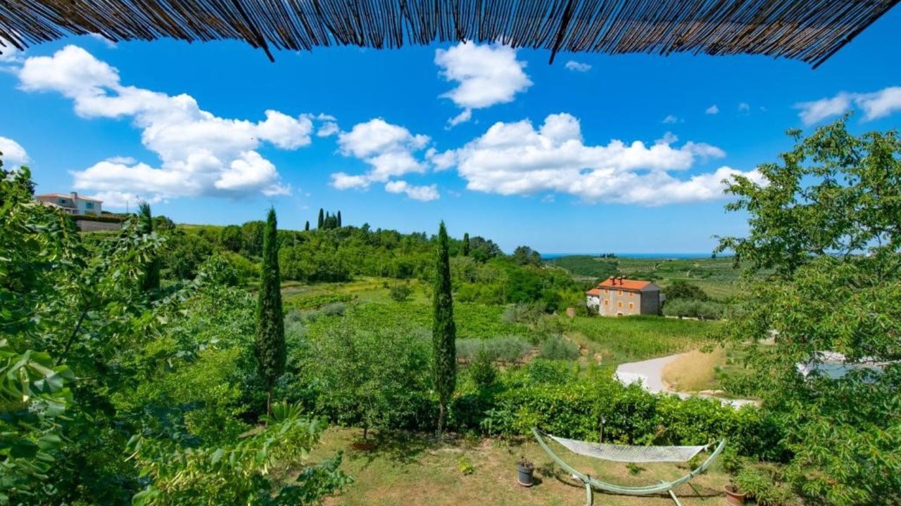 Photo of Outdoor in Momjan