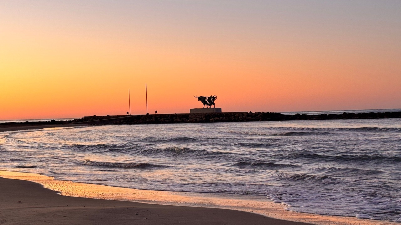 Photo of Others in Vilanova I la Geltru