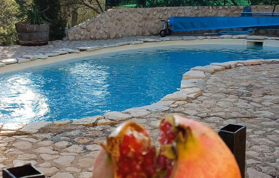 Photo of Outdoor in Beaucaire
