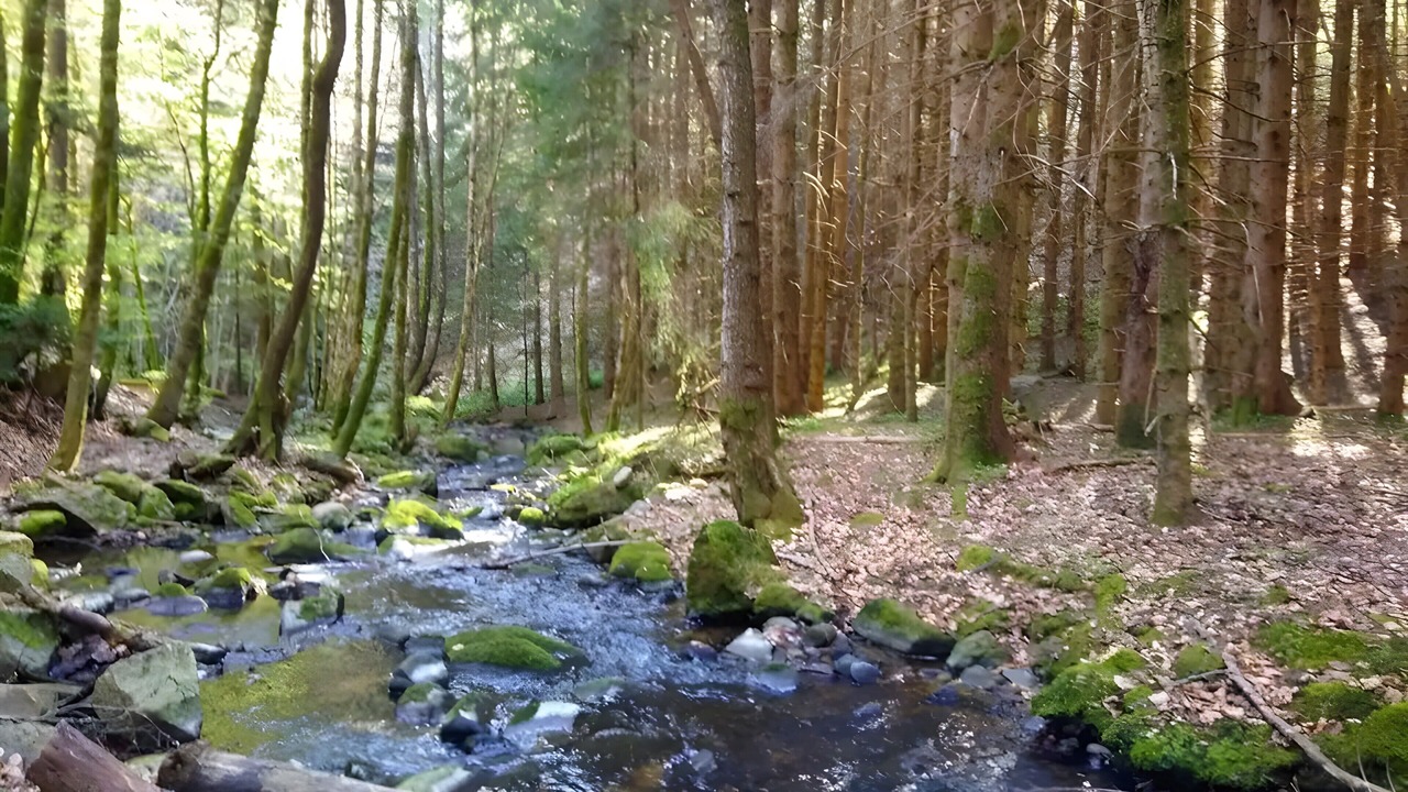 Photo of Others in Merle-Leignec