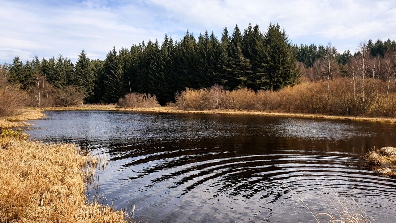 Photo of Others in Merle-Leignec