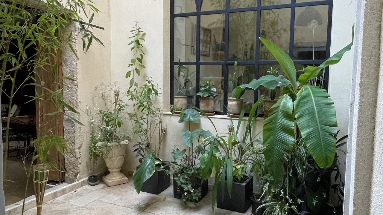Photo of Outdoor in Capestang