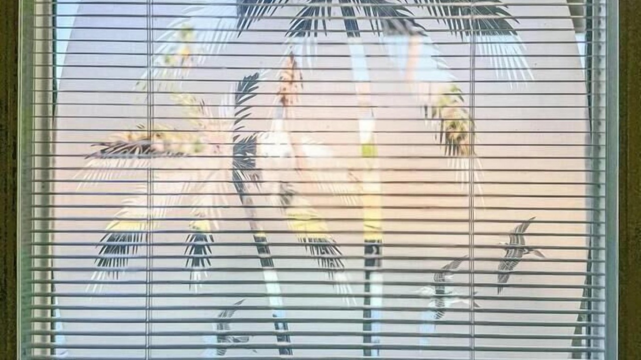 Photo of Others in Toilla Segunda