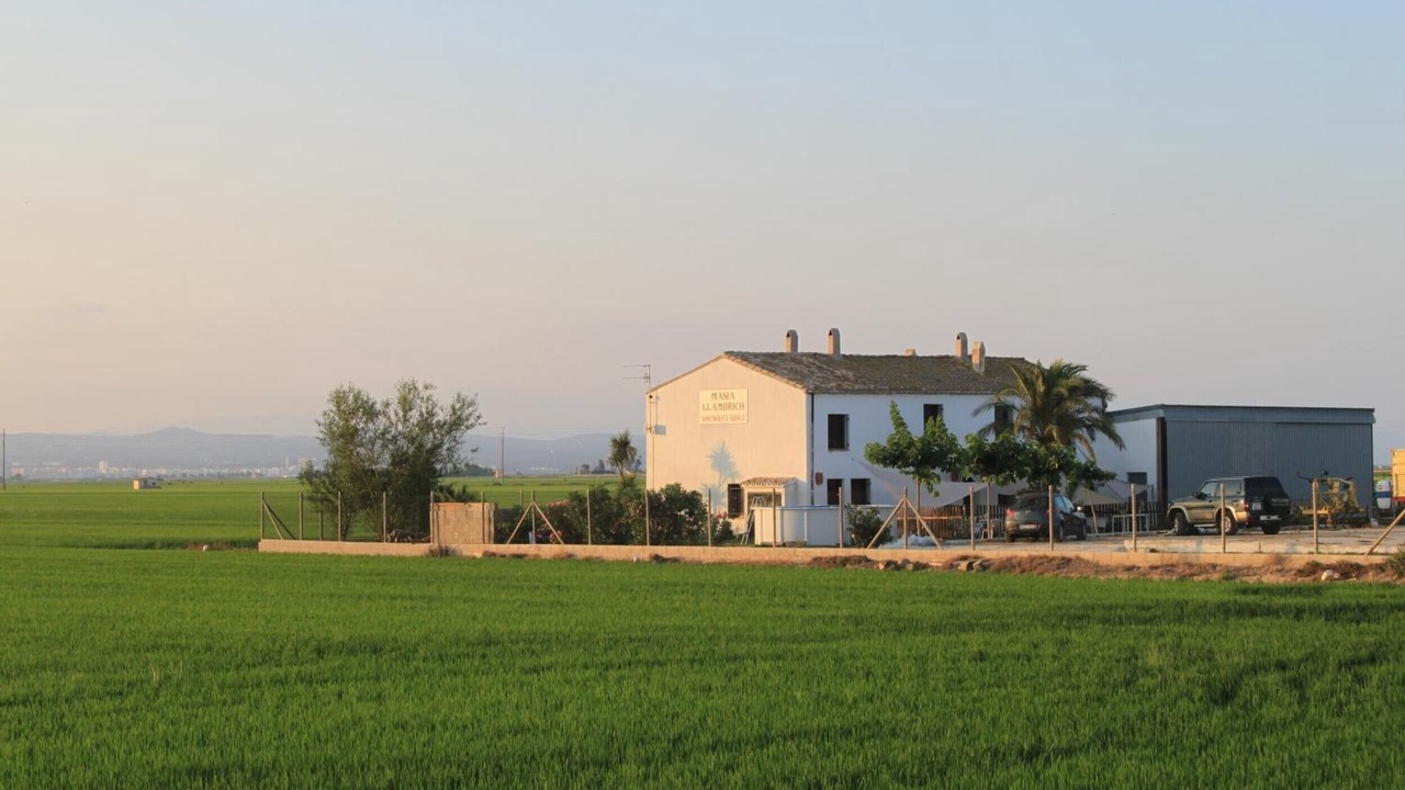 Photo of Outdoor in Deltebre