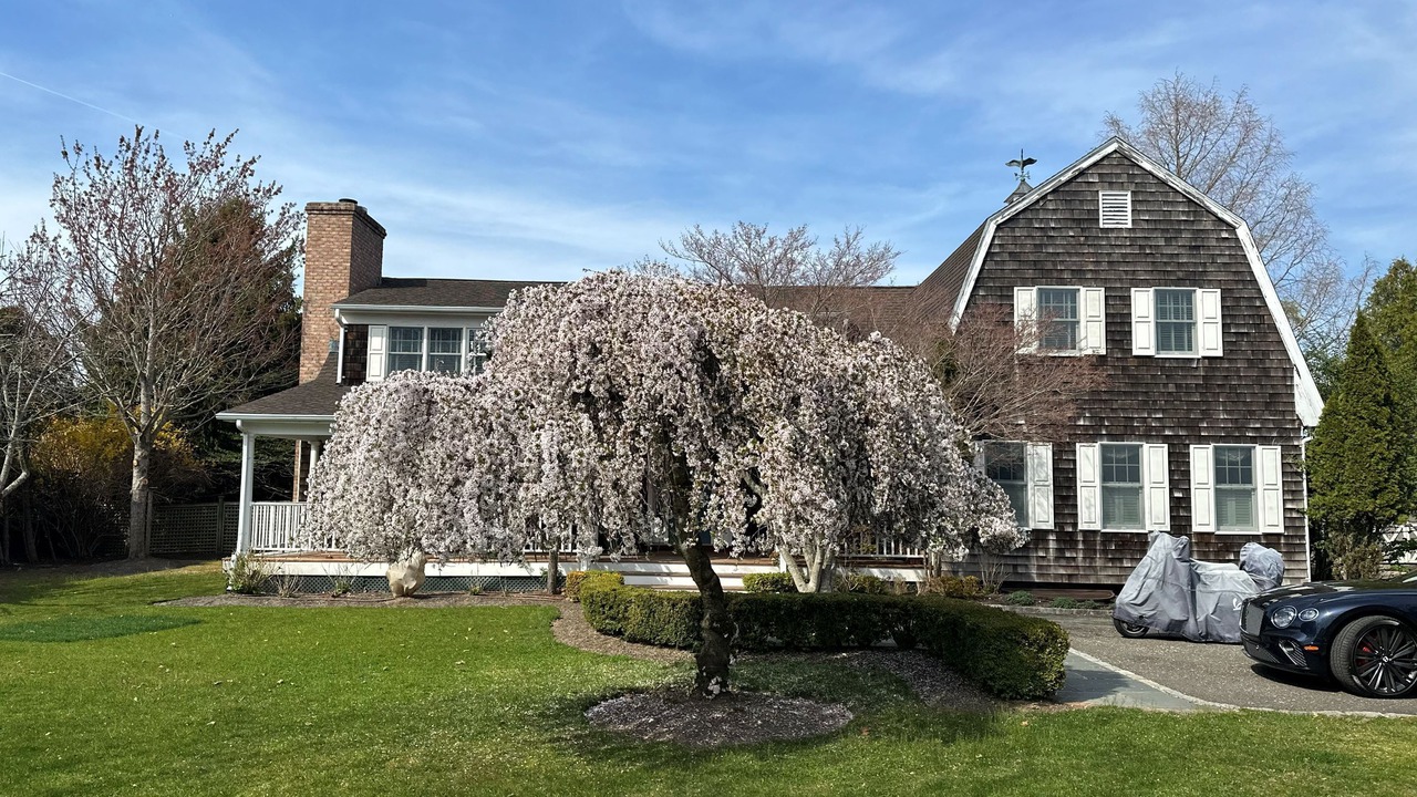 Photo of Outdoor in Southampton