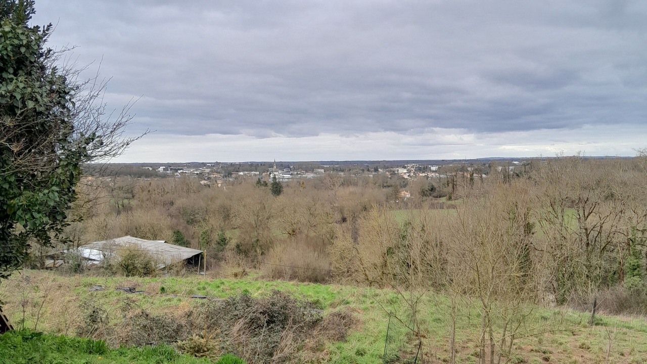 Photo of Others in Chantonnay