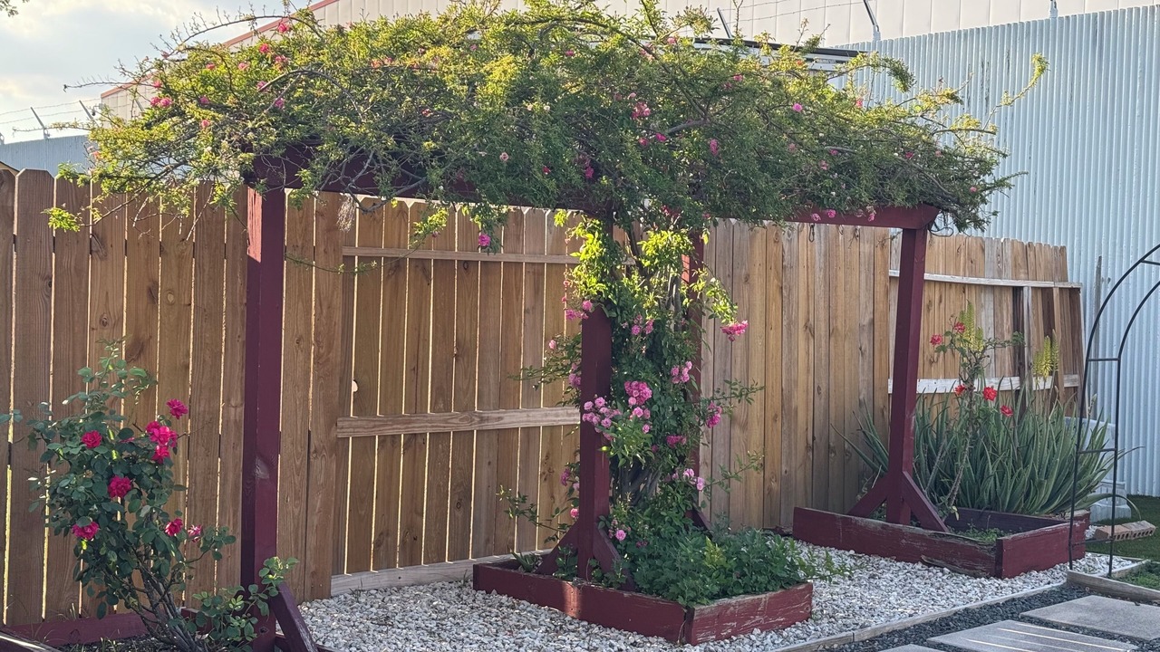 Photo of Outdoor in Central Southwest