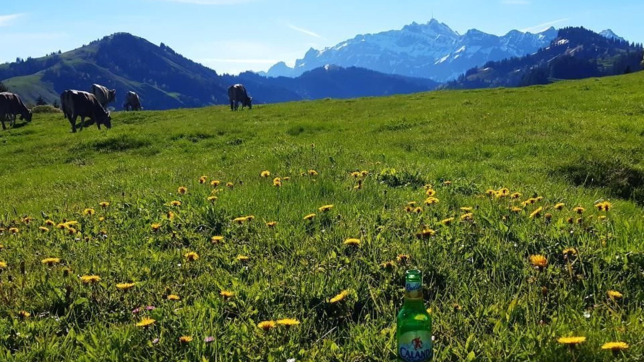 Photo of Others in Krummenau