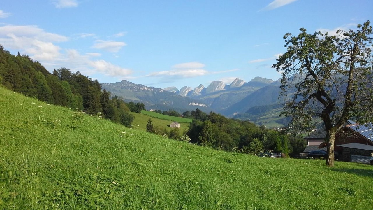 Photo of Others in Krummenau