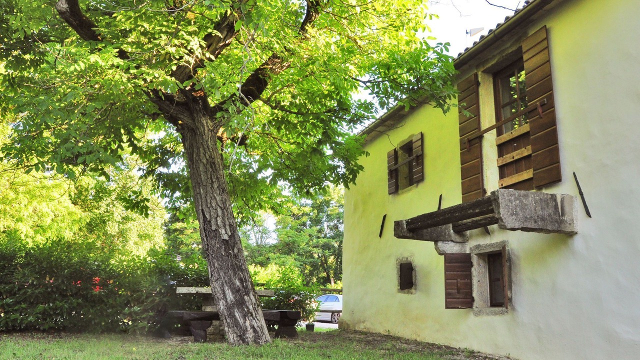 Photo of Outdoor in Kotli
