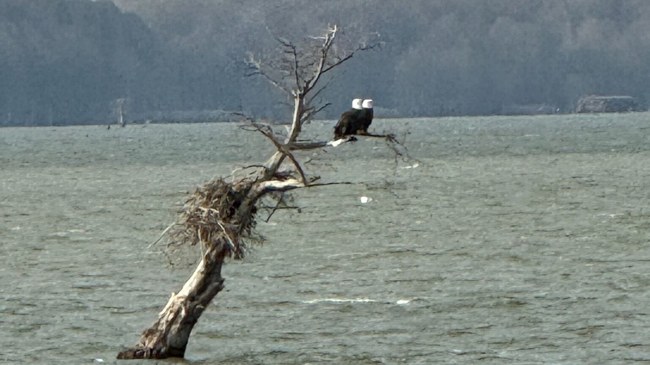 Photo of Others in Samburg
