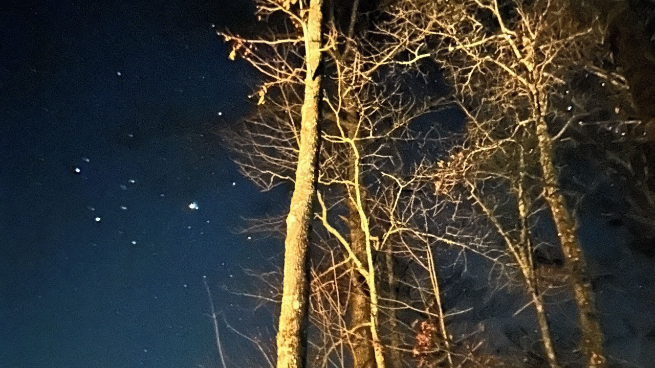 Photo of Others in Sylva
