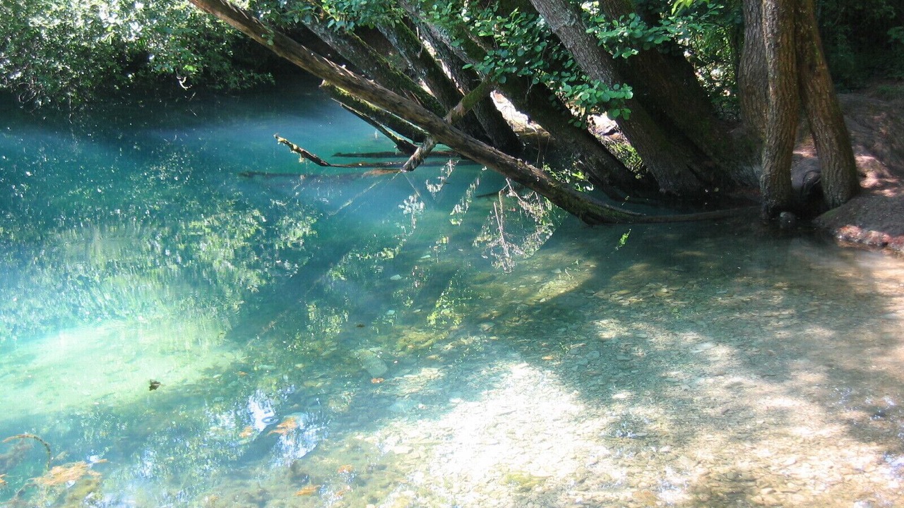 Photo of Others in Andressac