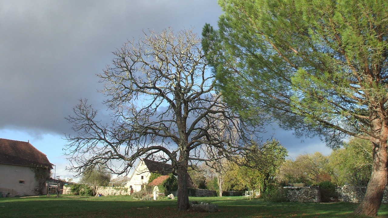 Photo of Others in Andressac