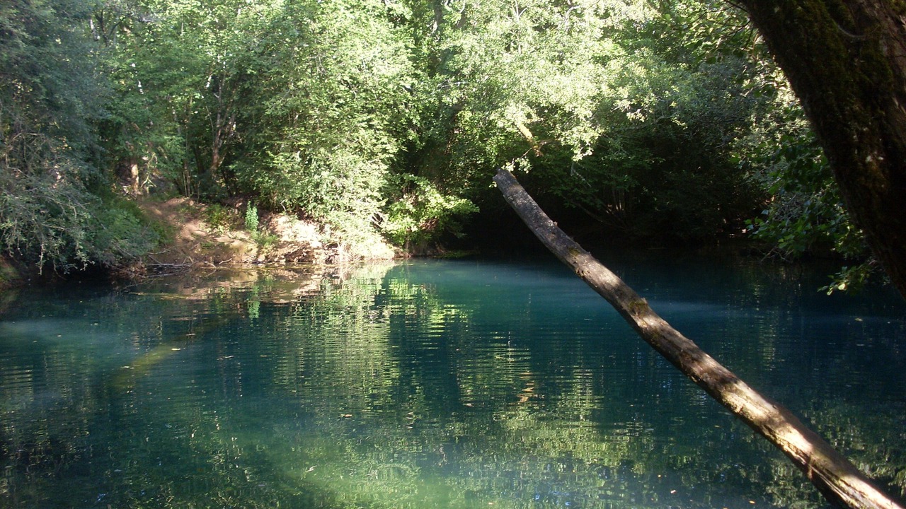 Photo of Others in Andressac