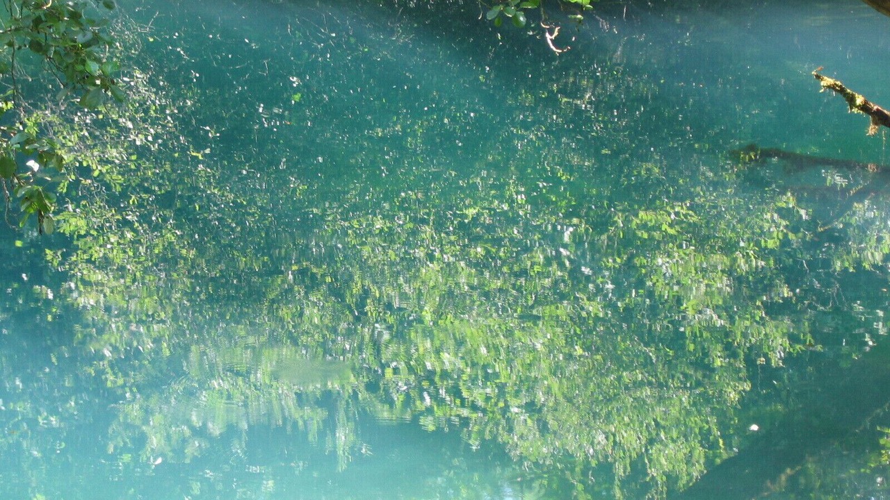 Photo of Others in Andressac