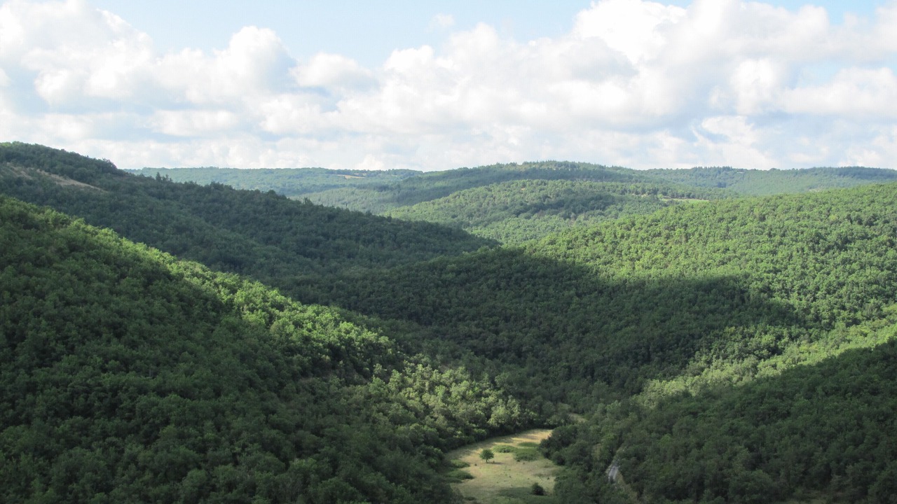 Photo of Others in Andressac