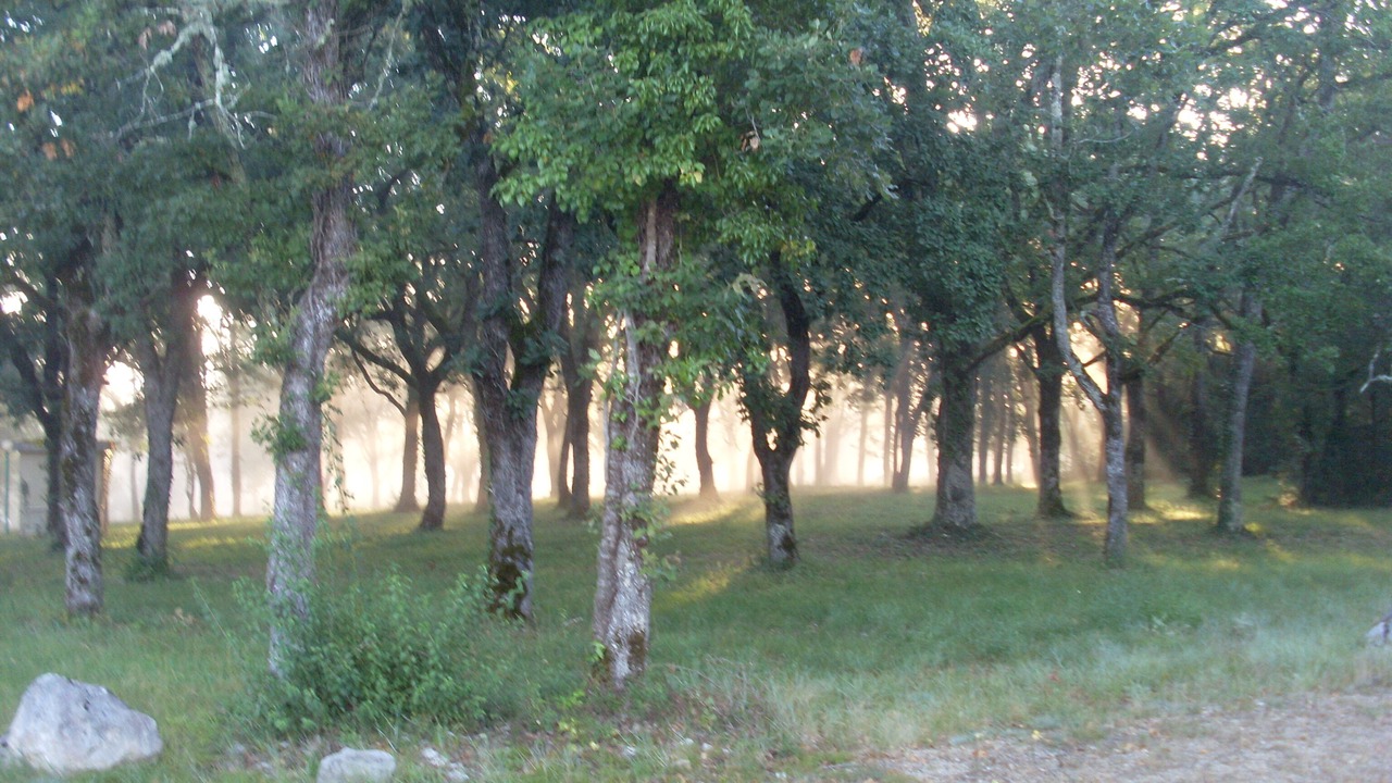 Photo of Others in Andressac