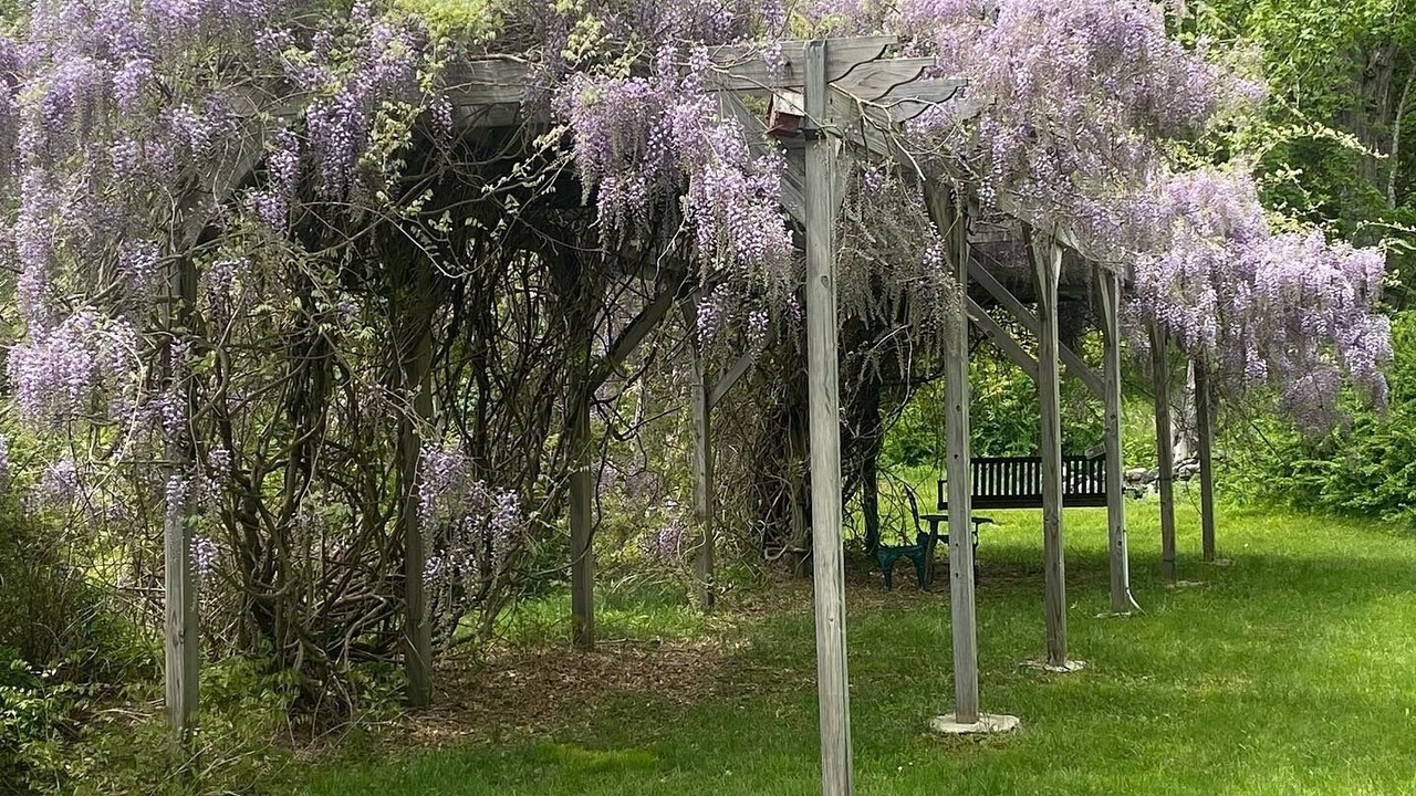 Photo of Outdoor in Marlboro
