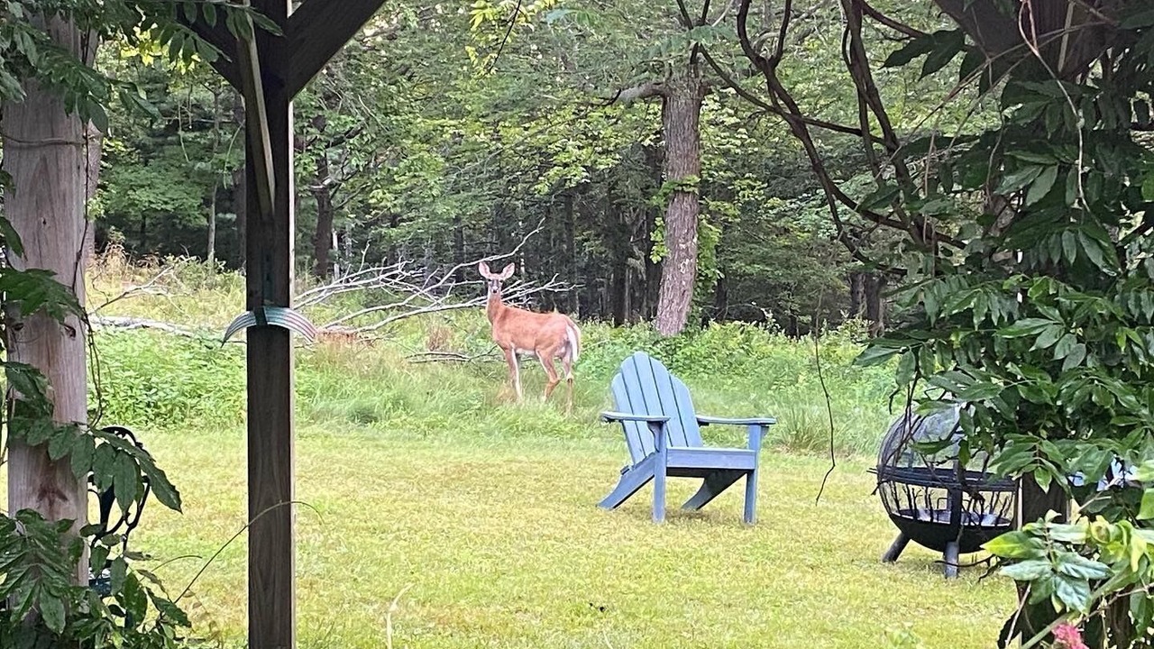 Photo of Outdoor in Marlboro