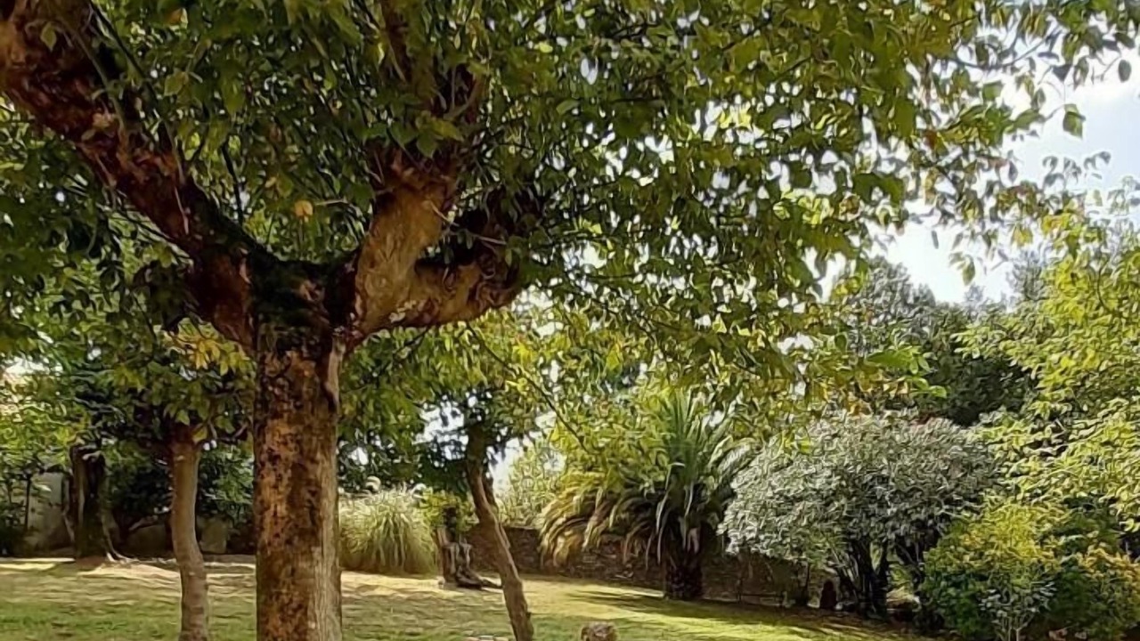 Photo of Outdoor in Monget