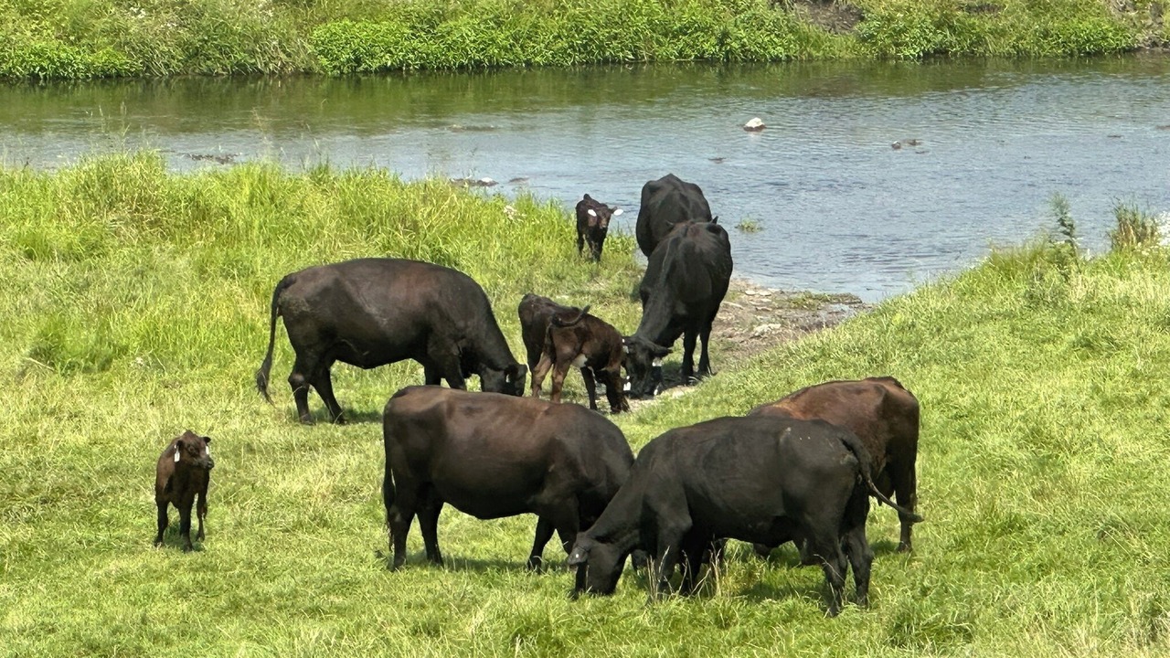 Photo of Others in Spring Valley