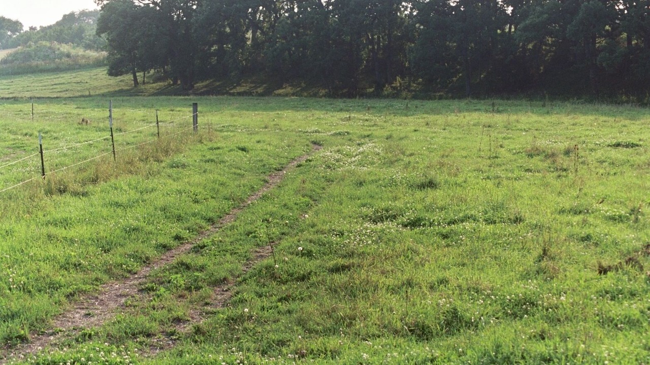 Photo of Others in Spring Valley