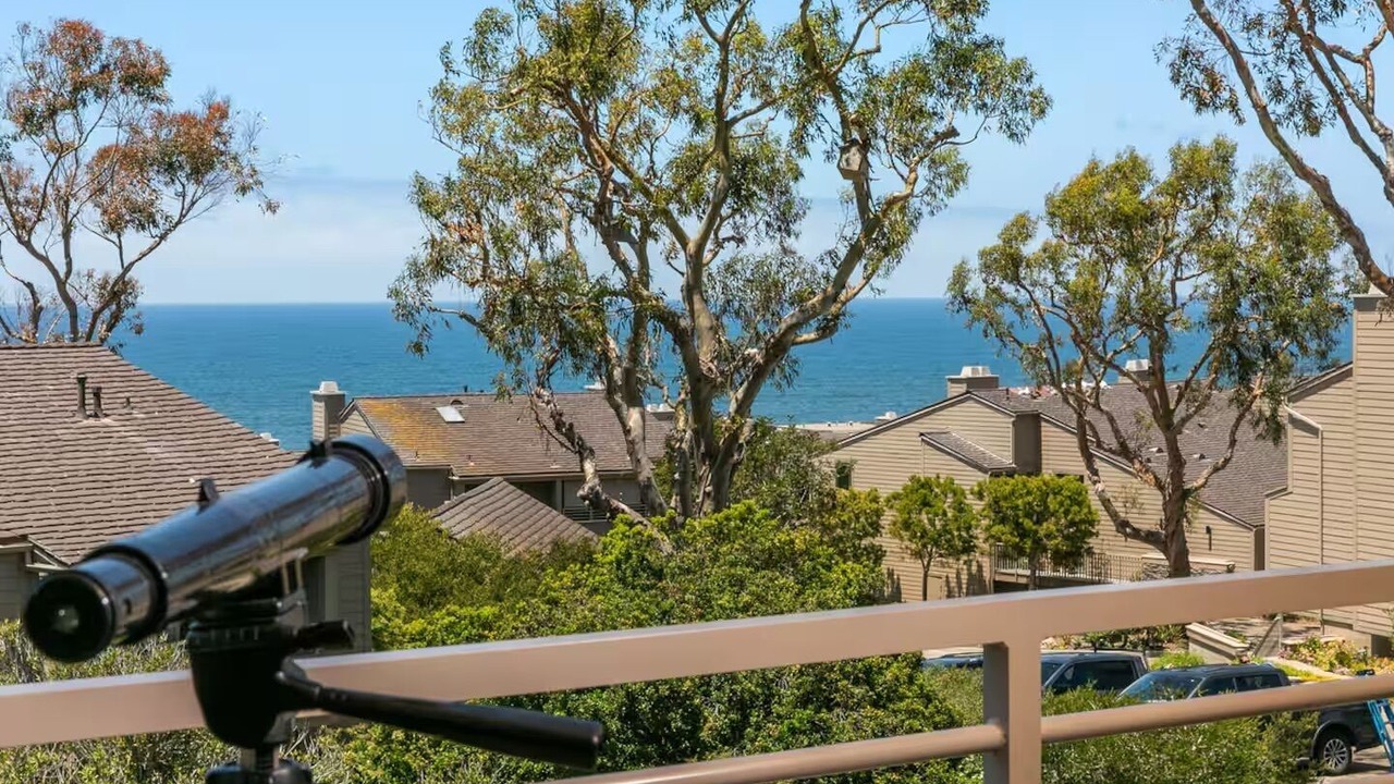Photo of Outdoor in Del Mar Heights