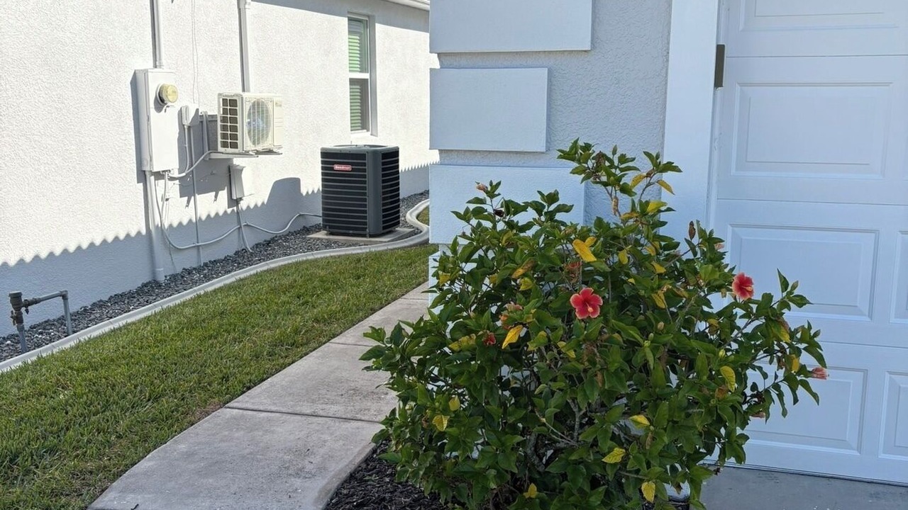 Photo of Outdoor in Wedgefield