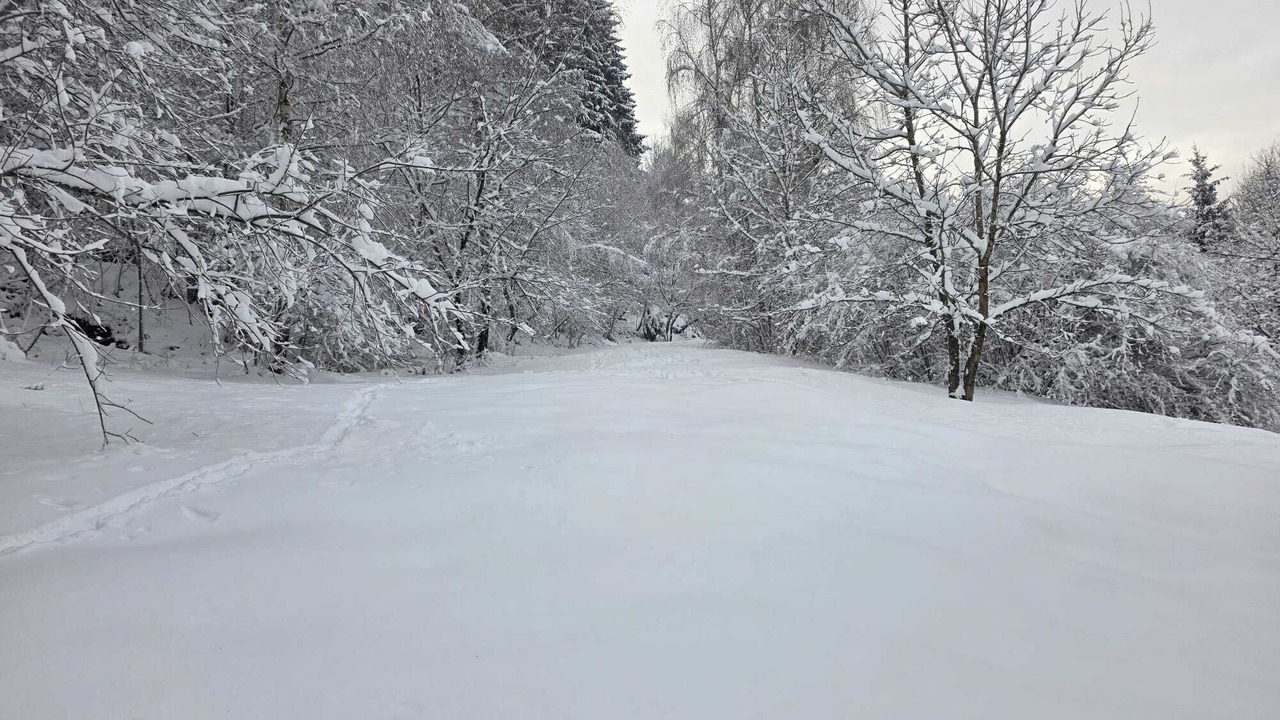 Photo of Others in Granges-Aumontzey
