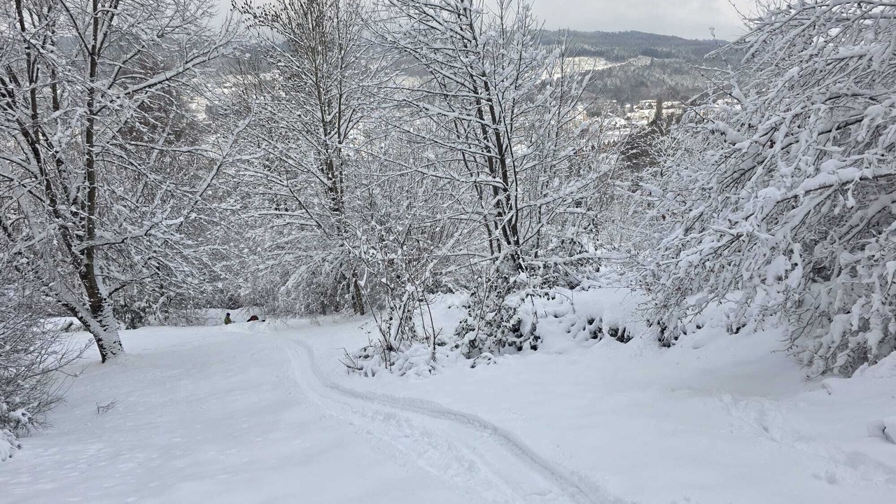 Photo of Others in Granges-Aumontzey