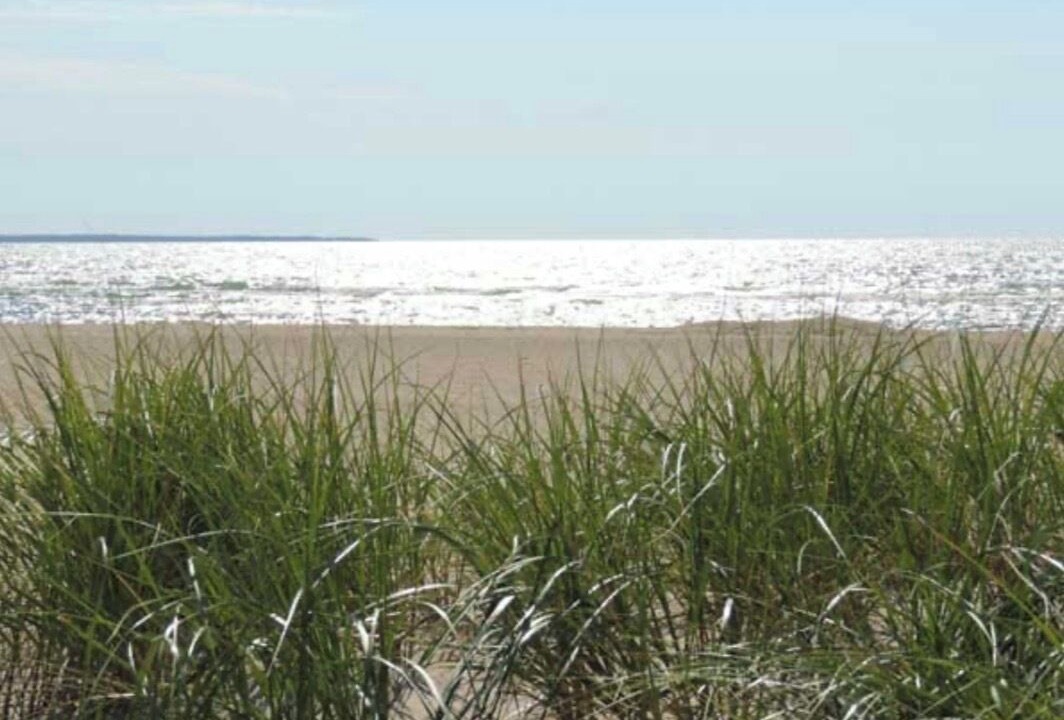 Photo of Others in Saugeen Shores
