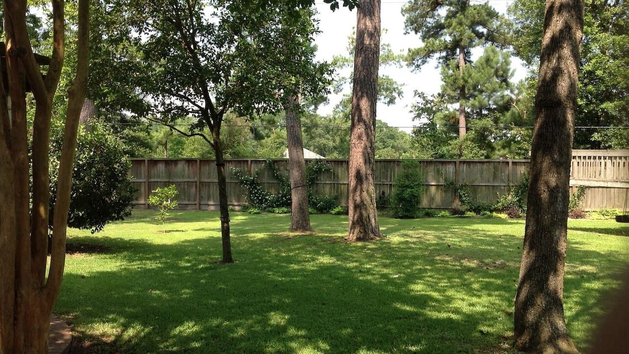 Photo of Others in Cypress