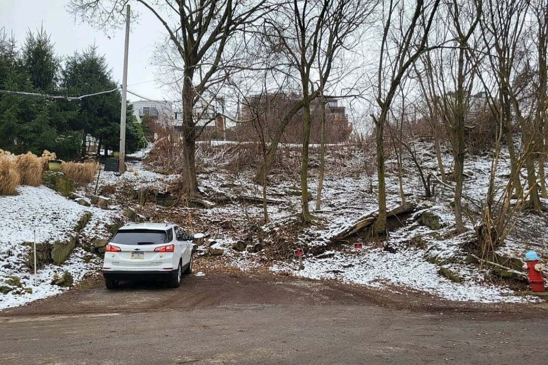 Photo of Others in South Side Slopes