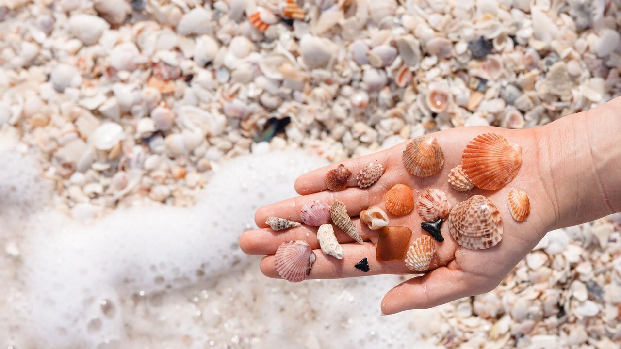 Photo of Others in Golden Beach