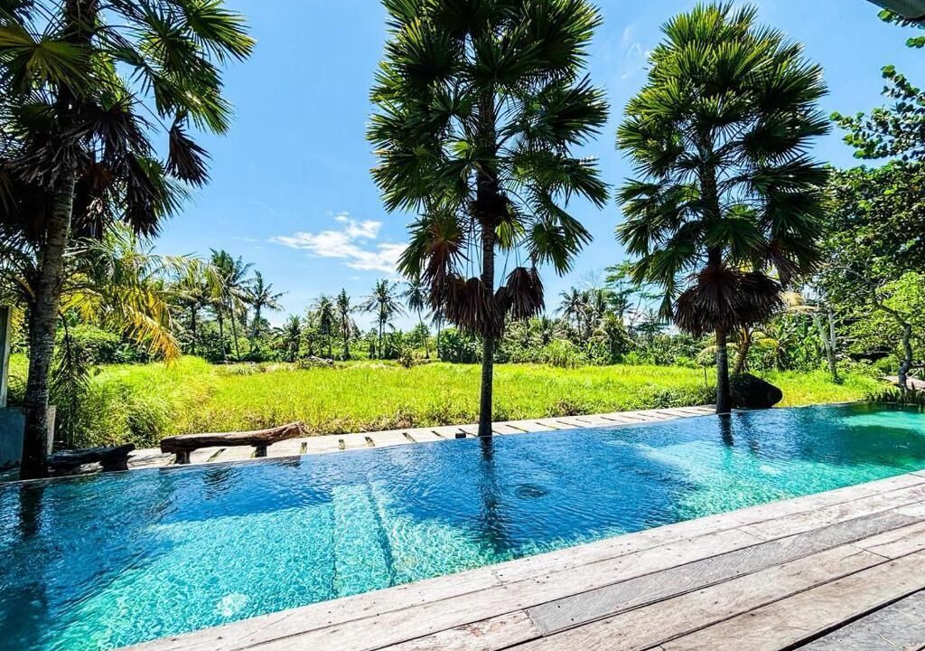 Photo of Outdoor in Mas