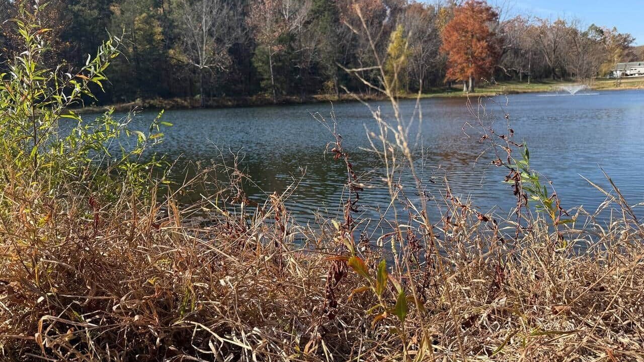 Photo of Others in Grubville