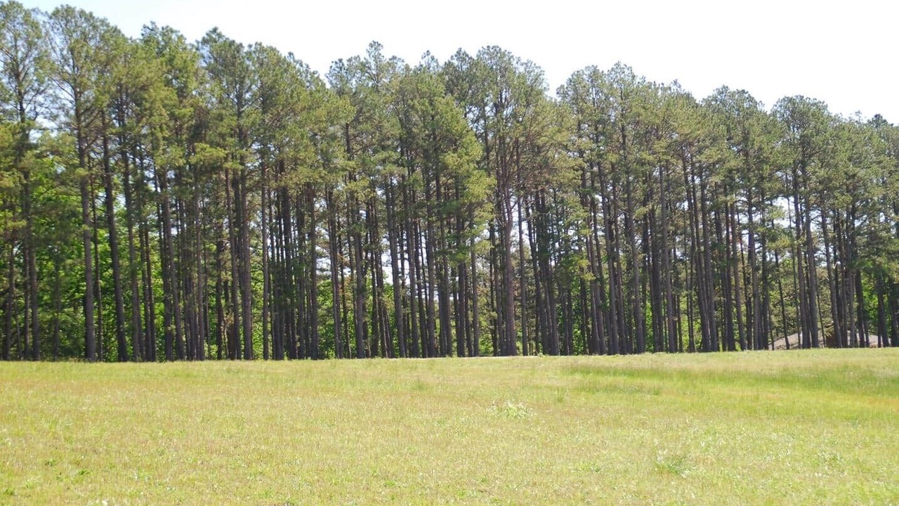 Photo of Others in Grubville