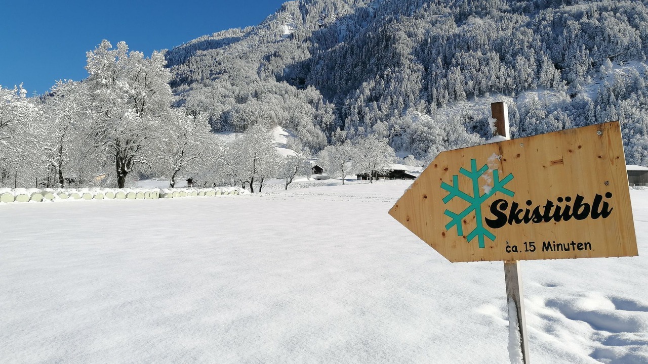 Photo of Outdoor in Luchsingen