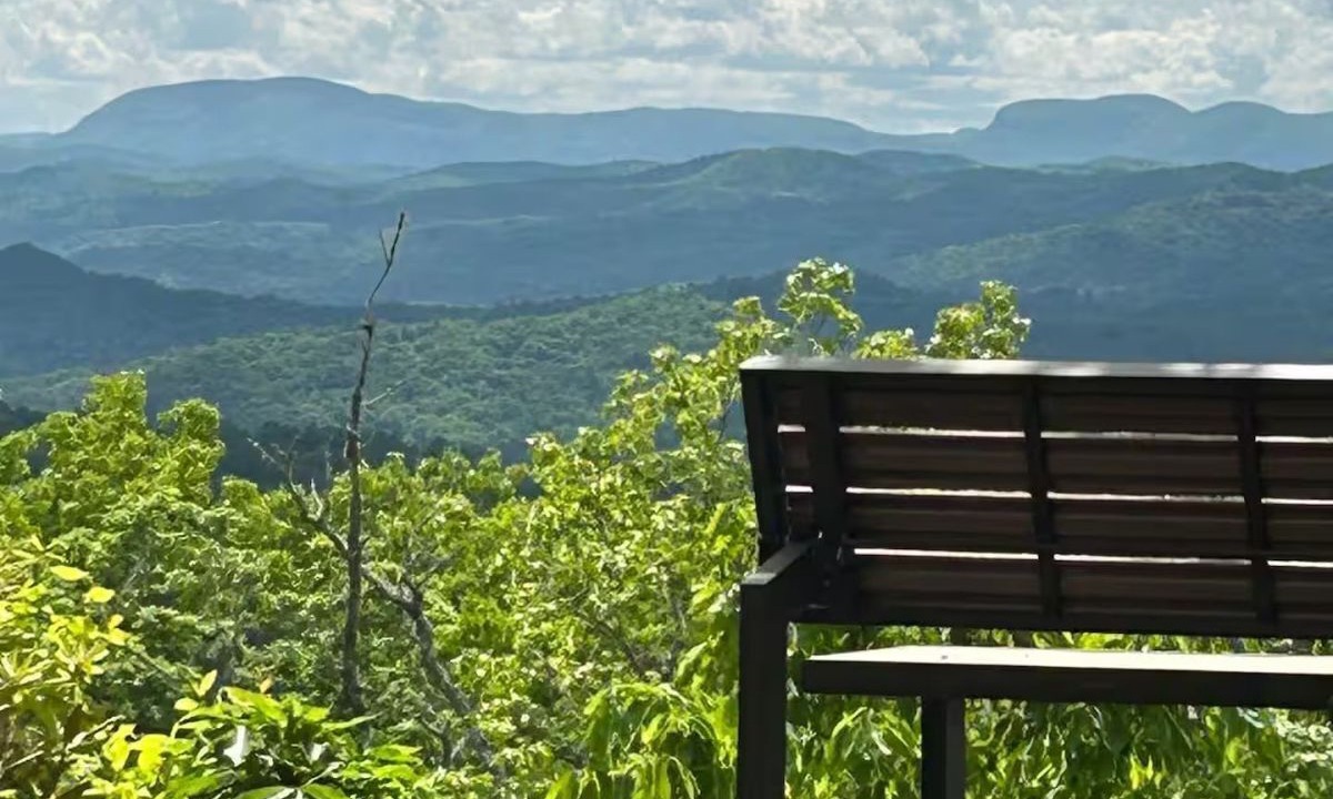 Photo of Outdoor in Pisgah Forest