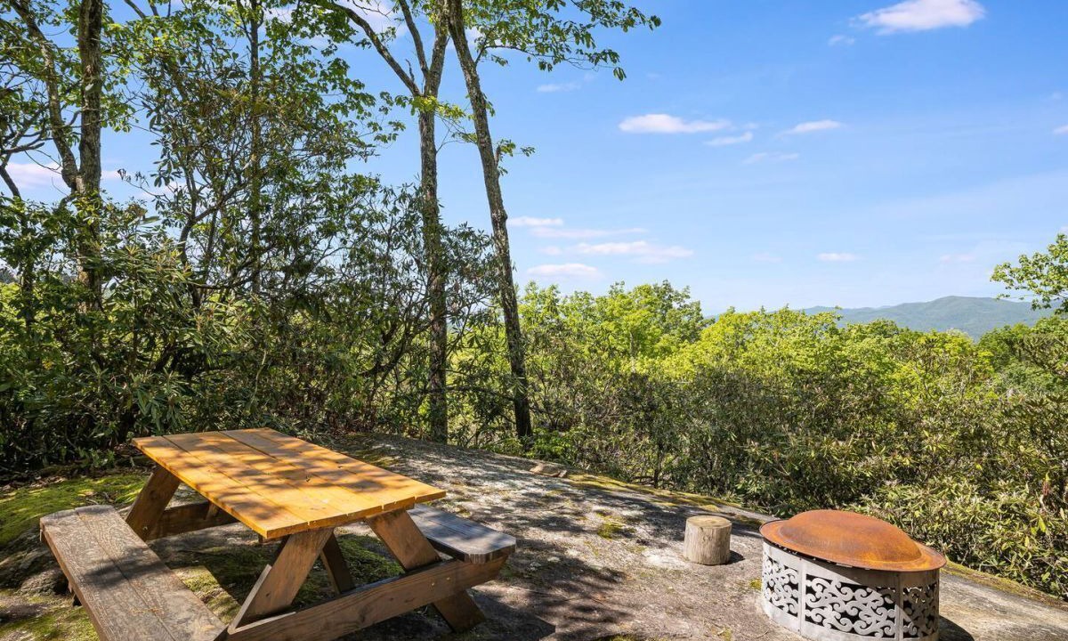Photo of Outdoor in Pisgah Forest