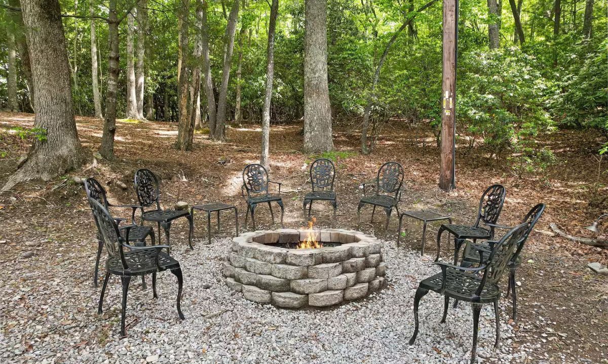 Photo of Outdoor in Pisgah Forest