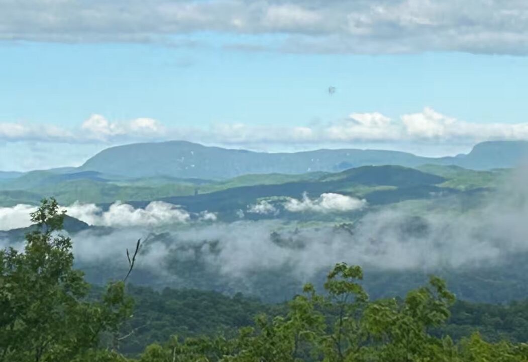Photo of Others in Pisgah Forest