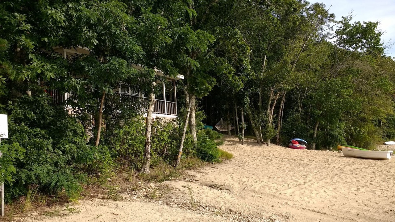 Photo of Others in Sandwich