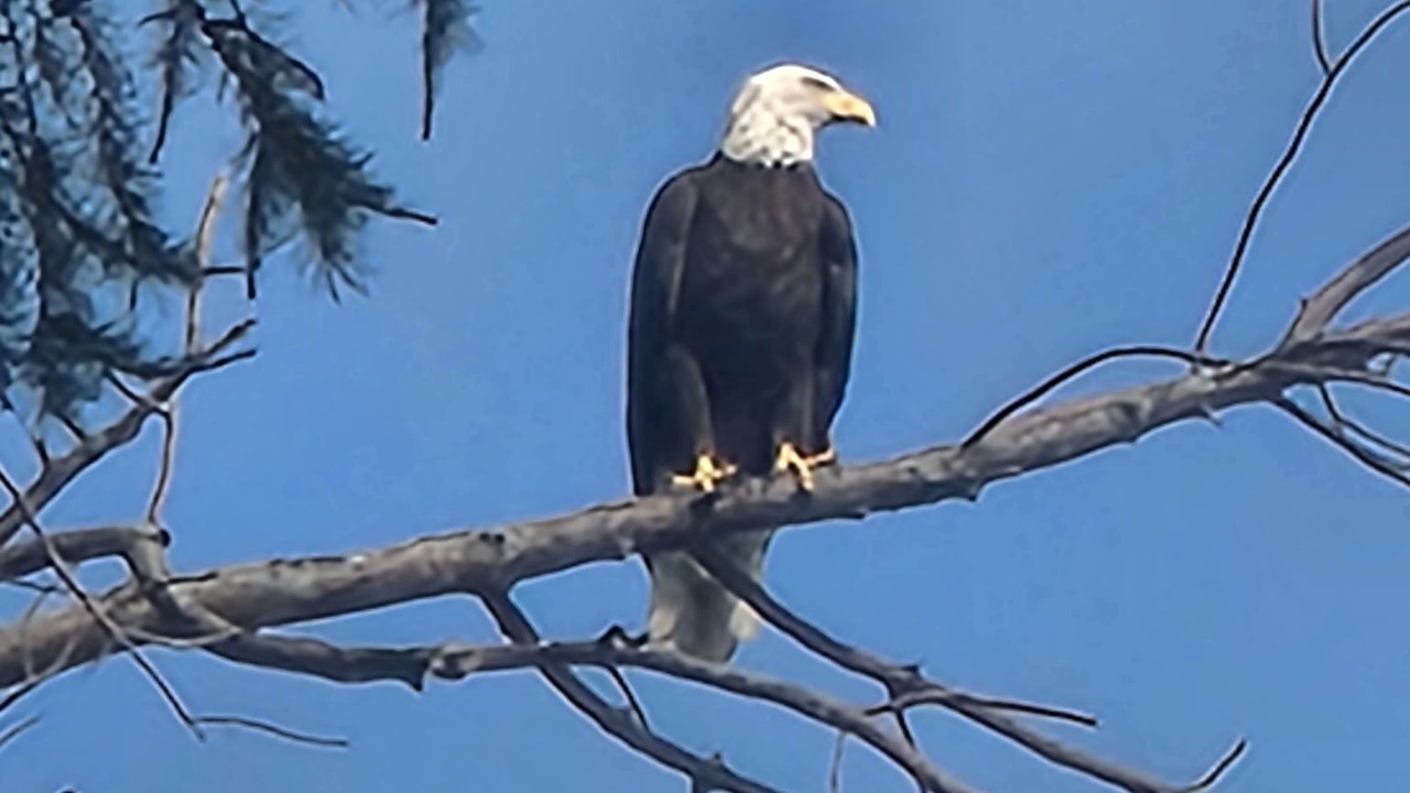 Photo of Others in Maple View