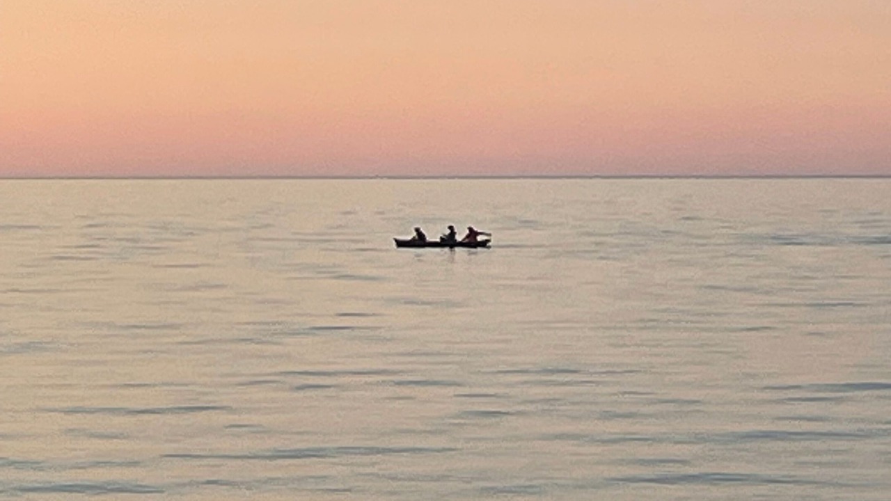 Photo of Others in Maple View