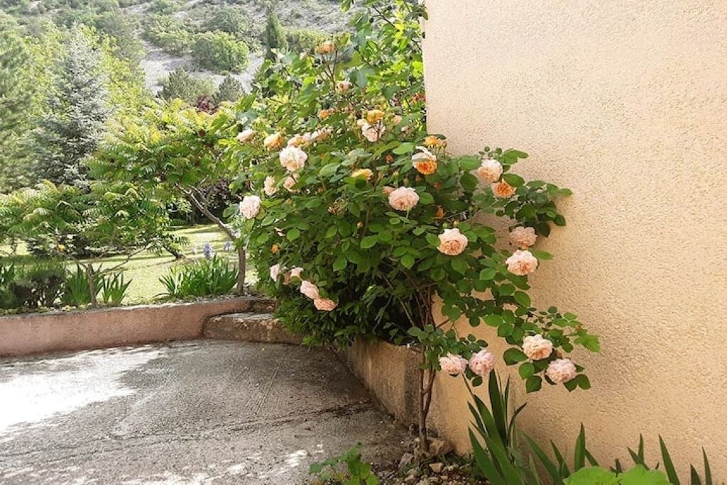 Photo of Outdoor in Malaucene