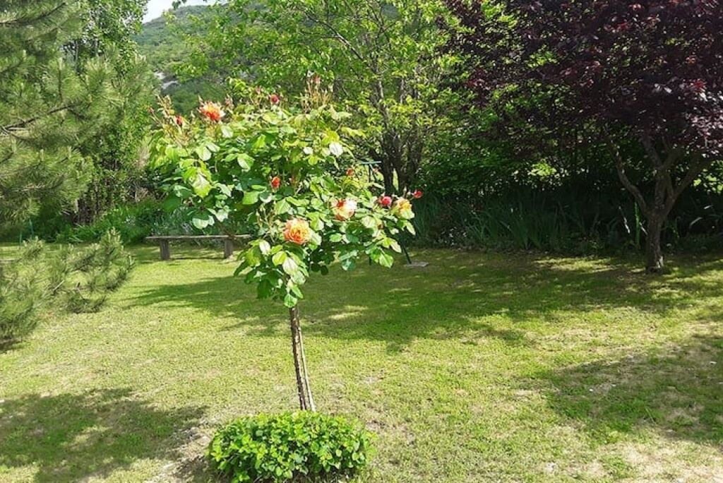 Photo of Outdoor in Malaucene