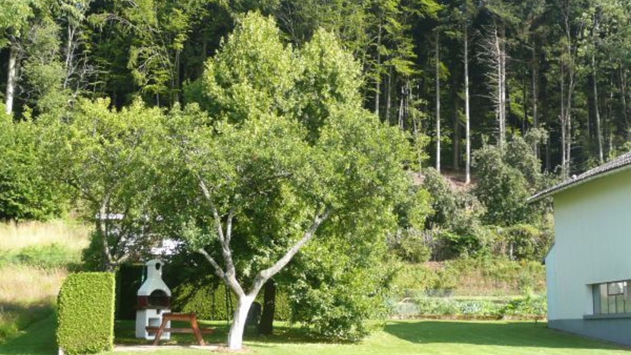 Photo of Outdoor in Jussarupt