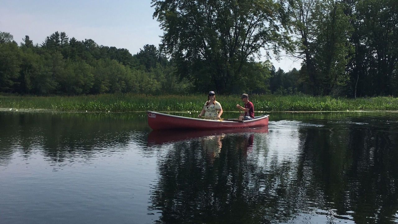 Photo of Others in North Algona Wilberforce